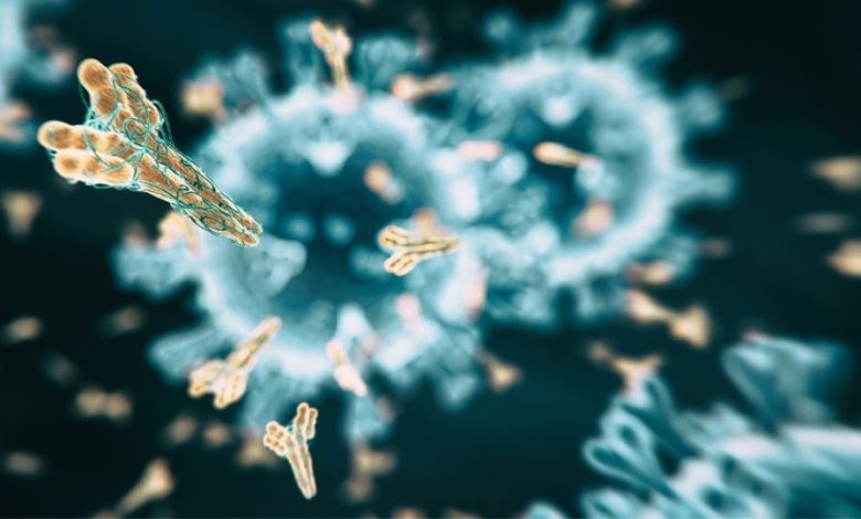 anticorpi monoclonali