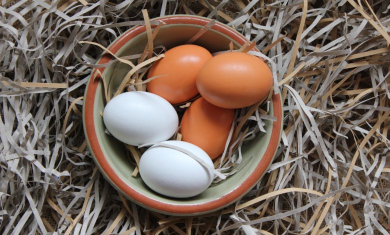 egg 3188041 1920