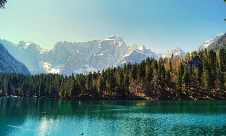 01df353023a48d1f95d111f9d483b0f9