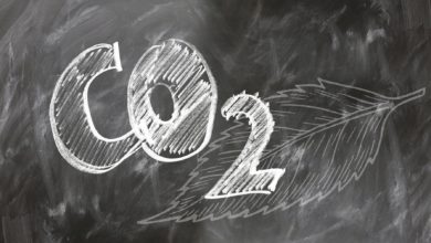 co2 3139225 1920