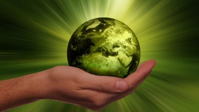 sustainability 3300869 1280 1