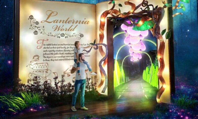 wonderland 800x800 1