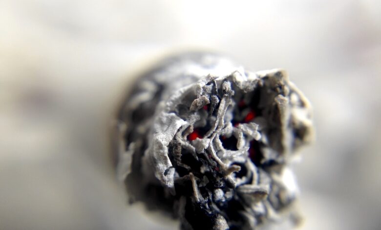 cigarette 1270516 1280