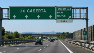 Copertina articoli Consumerismo ()