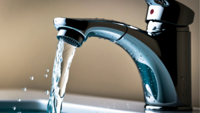 Copertina articoli Consumerismo