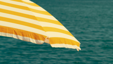 Copertina articoli Consumerismo