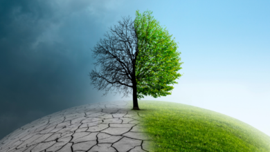 inflazione climatica Consumerismo