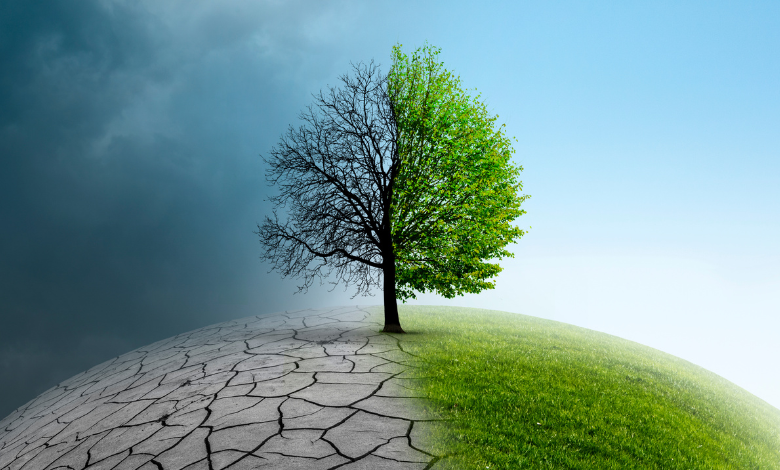 inflazione climatica Consumerismo
