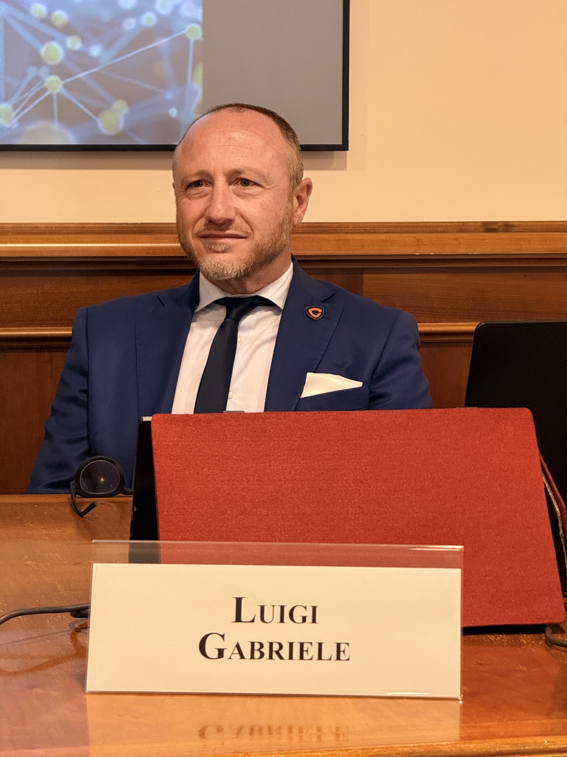 luigi gabriele luigi gabriele