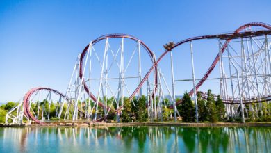 MagicLand 100 2133c8eff0f5117dcc2487ec7f36fb0e