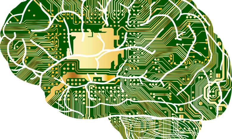 anatomy 1751201 1280