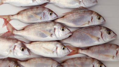 Copertina articoli Consumerismo