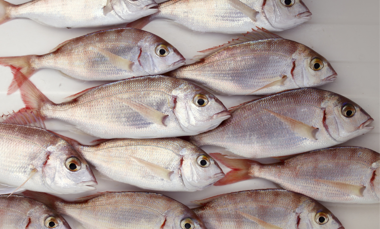 Copertina articoli Consumerismo