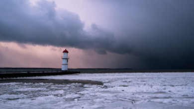 Copertina articoli Consumerismo