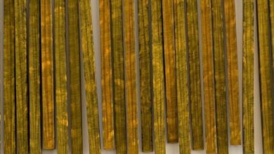 WhatsApp Image at ()