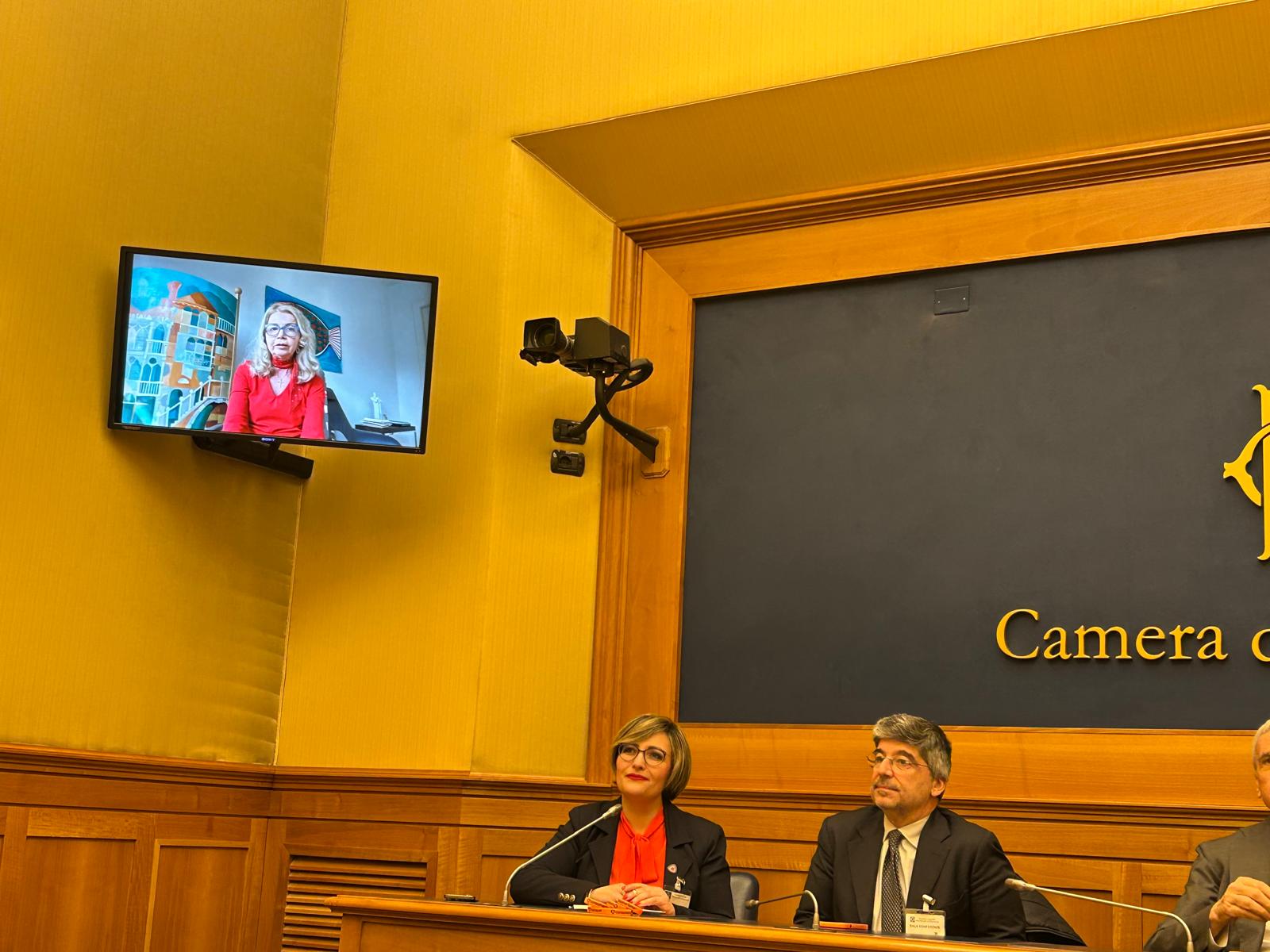 Fucsia FitzGerald Nissoli Fucsia FitzGerald Nissoli